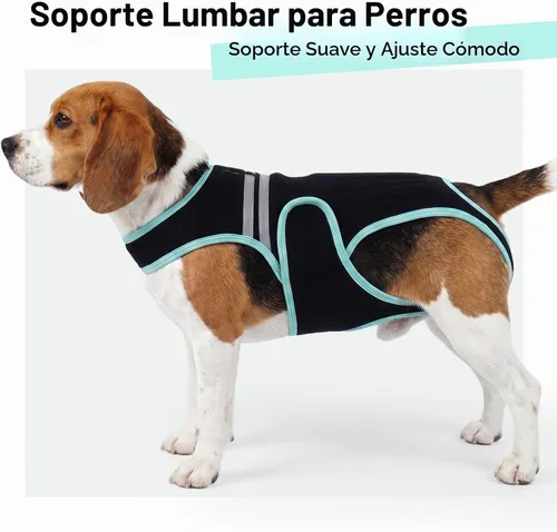 Vista 6 de IVDD - Soporte de espalda para perros, suave para la recuperación de cirugía Dog Back Protector Spine Support for Arthritis, Dogs Back Disease