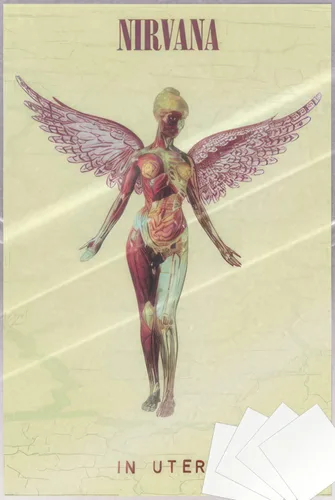 Vista 8 de Nirvana - Póster musical (In Utero - Portada del álbum) (Tamaño: 24" x 36")