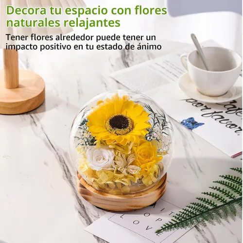 Vista 3 de Domo de Vidrio con Girasoles y Rosas Preservadas y Luces LED, Base de Madera, para el Día de San Valentín, Día de la Madre, Cumpleaños, Navidad