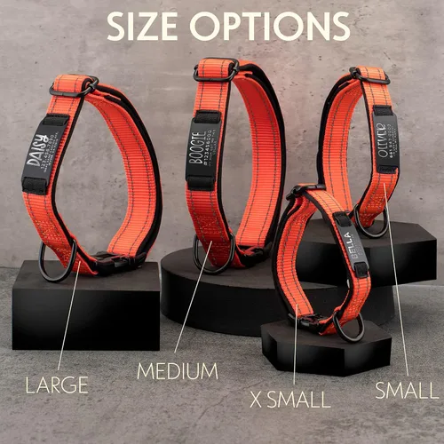 Vista 8 de ACTUALIZADO - Collares de perro personalizados y placa de identificación grabada, collar de perro de nailon reflectante, personalizable en 11