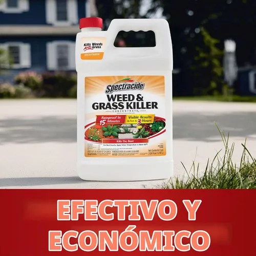 Vista 13 de Spectracide Concentrado para matar malezas y hierbas, 1 galón, uso en patios, pasarelas y calzadas