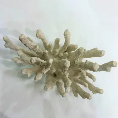 Vista 5 de Abbott Collection 20-SEASHORE/25 - Figura decorativa de resina decorativa de estrella de mar 3D blanca