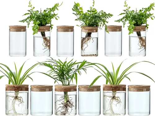 Vista 8 de Estación de propagación de plantas para plantas, 2 tamaños de jarrones de propagación de vidrio para propagar plantas hidropónicas para decoración