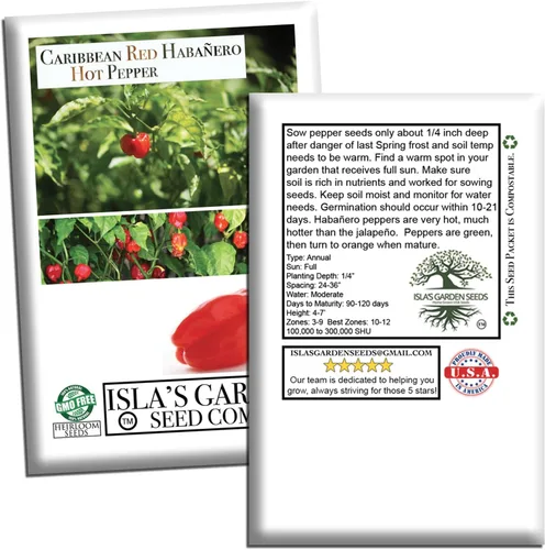 Vista 7 de Semillas de pimiento picante Habañero rojo caribeño, 25 semillas tradicionales por paquete, semillas sin OMG, nombre botánico: Capsicum chinense