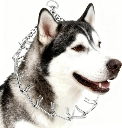 Vista 8 de Collar de entrenamiento para perros con puntas curvadas con anillo giratorio ajustable