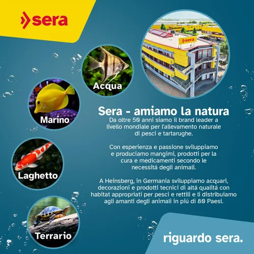 Vista 3 de Sera Koi Professional Color Spring & Fall 17.64 oz Alimento de pescado koi fácilmente digerible para estanques Gránulos flotantes premium