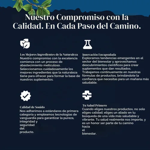 Vista 4 de Complejo equilibrado de berberina Plus de 1200 mg, berberina antioxidante con cápsulas de canela de ceilán más extracto de cardo mariano