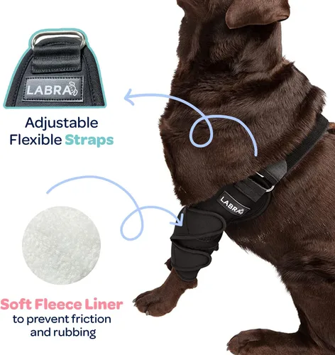 Vista 3 de Labra Dog Canine K9 - Soporte para aliviar el dolor de callos en el hombro y codo de hombro, protector de masticación de heridas de higroma