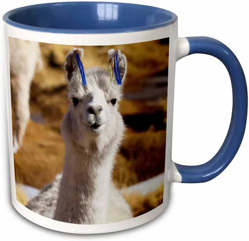 Vista 9 de 3dRose Taza de café, tamaño - 15oz - Argentina, Santa Rosa de los Pastos Grandes, llama - SA01 JRI0222 - Jutta Riegel Llamas - divertida taza