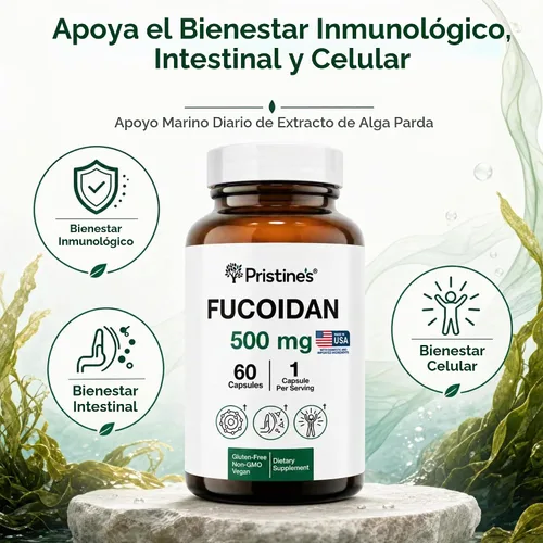 Vista 4 de PRISTINE'S Fucoidan - Cápsulas de extracto de algas marrones de 500 mg