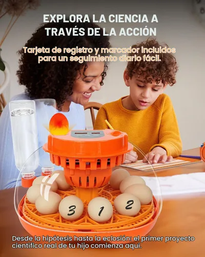 Vista 4 de Incubadora de 12 huevos con giro automático y control de humedad, incubadoras completamente automáticas con vela de huevos, kit educativo