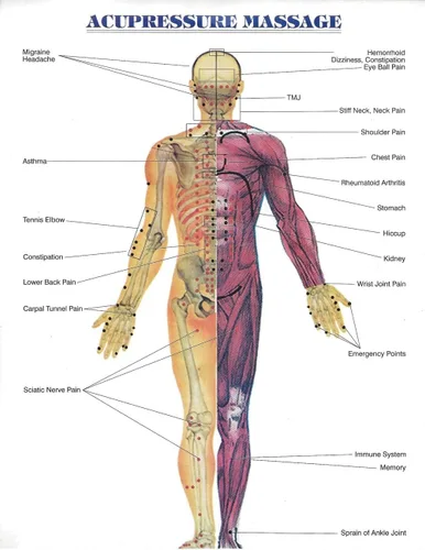 Vista 8 de Reflexology - Masajeador tailandés tradicional de madera para cuerpo completo, gancho para espalda, spa, cara, terapia Gua Sha, herramienta