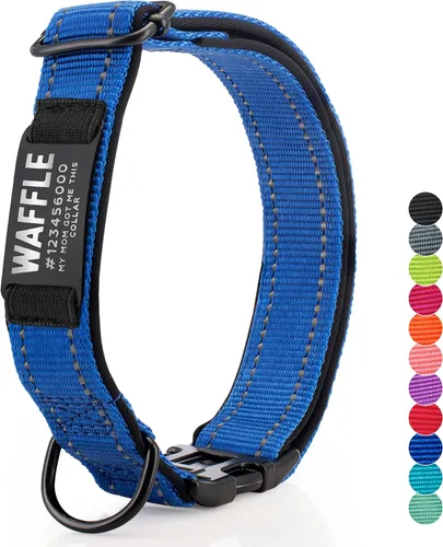 Vista 12 de ACTUALIZADO - Collares de perro personalizados y placa de identificación grabada, collar de perro de nailon reflectante, personalizable en 11
