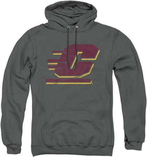 Vista 36 de Distressed College Primary Logo Adult Pullover Hoodie Collection 1 Universidad Estatal de Albany