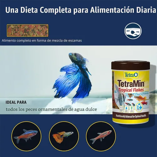 Vista 4 de TetraMin Alimento en escamas tropicales nutricionalmente equilibrado para peces tropicales, 7.06 onzas (paquete de 1)