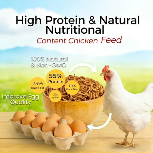 Vista 4 de RANZ 4.5 KG Gusanos secos sin OMGs para pollos, gusanos altos en proteínas, alimento premium para pollos, alimento perfecto para aves y golosinas