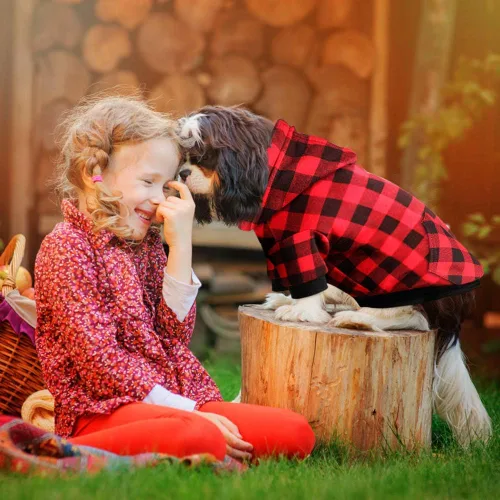 Vista 4 de Sudadera con Capucha a Cuadros Rojos para Perros, Ropa para Mascotas con Capucha y Bolsillo (XS)