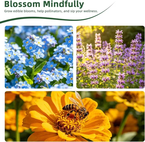 Vista 8 de 35 Medicinal & Tea Herb Seeds Variety Pack for Indoor & Outdoors