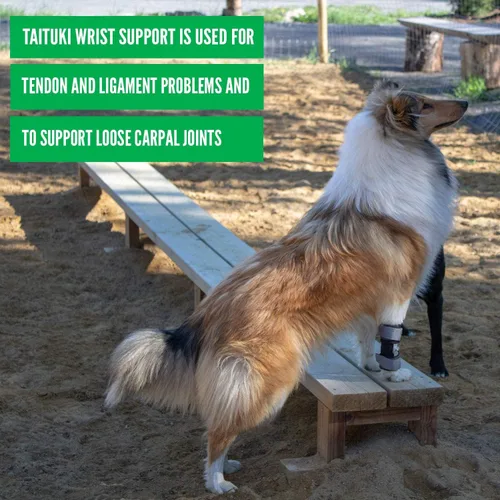 Vista 5 de Muñequera para perro, soporte de pierna delantera de grado veterinario para laxitud carpiana, lesiones, artritis y recuperación poscirugía - (XS)