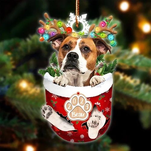 Vista 115 de NAZENTI Adorno Navideño de Bolsillo Personalizado de Affenpinscher en la Nieve, Adorno de Forma Acrílica de Perro, Adorno de Navidad 2023, Adorno