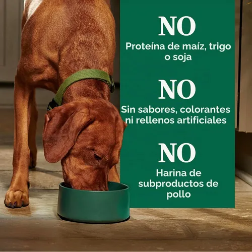 Vista 7 de Nutro Natural Choice - Alimento seco para perros de peso saludable, pollo y arroz, 30 libras