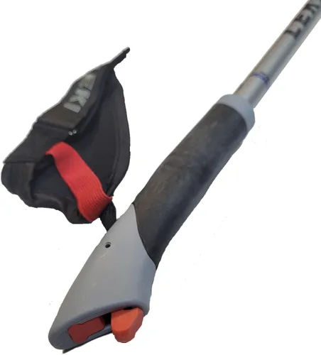 Vista 2 de LEKI Nordic Walking Amero Carbon Series - Bastones para caminar (45.3 in), color plateado