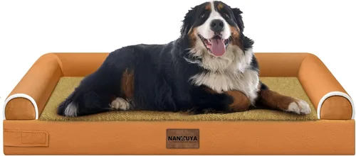 Vista 54 de NANUYA - Cama ortopédica para perros de tamaño mediano/grande, lavable: Camas con almohada para perros de tamaño mediano/grande, sofá de espuma