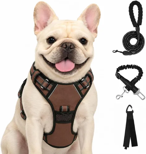 Vista 44 de FURRYFECTION - Arnés para perro a cuadros con correa y cinturón de Rosa