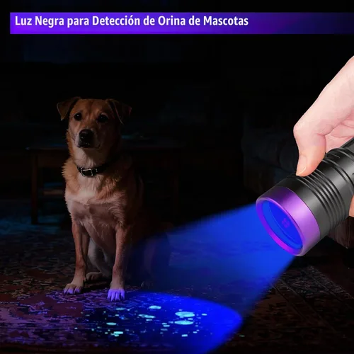 Vista 9 de 365nm linterna UV recargable negro luz linterna foco ajustable