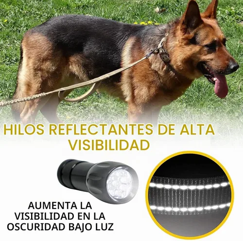 Vista 5 de ADITYNA Correa táctica elástica para perro, 6-7.5 pies, perros medianos Negro