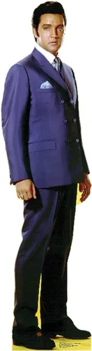 Vista 11 de Imágenes en cartón de Elvis Presley , talla única , Elvis 1