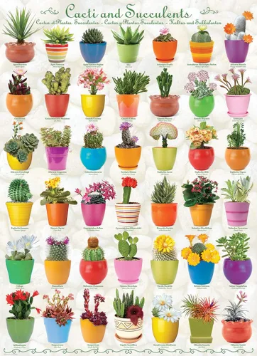 Vista 2 de EuroGraphics Rompecabezas de cactus y suculentas (1000 piezas)