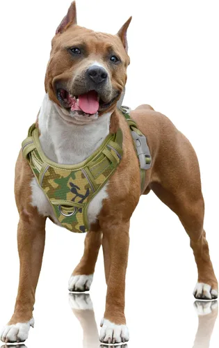 Vista 46 de BARKBAY Arnés para Perro Sin Tirones Talla Grande Arnés Reflectante para Perro con Clip Frontal y Asa de Control Fácil para Caminar Entrenar Correr