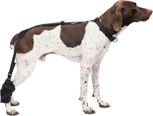 Vista 10 de Caldera Pet Therapy Universal Wrap Carpal/Codo con Gel, Mediano, Negro (PET205)