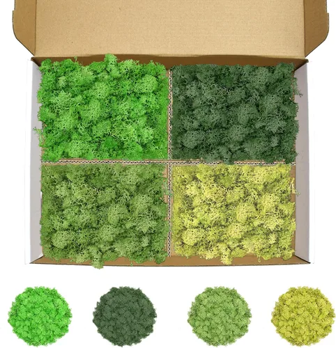 Vista 36 de Musgo de reno azul de 3.5 onzas, musgo preservado para plantas, decoración de musgo, musgo verde para manualidades, musgo para plantas en maceta