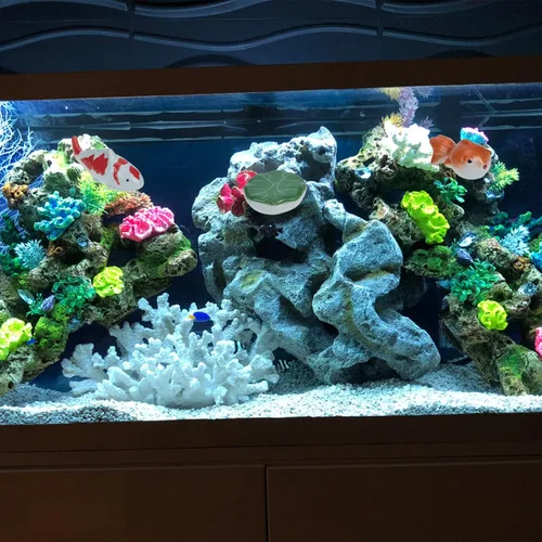 Vista 8 de BESPORTBLE Figuras de peces de porcelana, flotadores de pecera, estatua de pez de cerámica, decoración de bolas, decoración de acuario, criatura