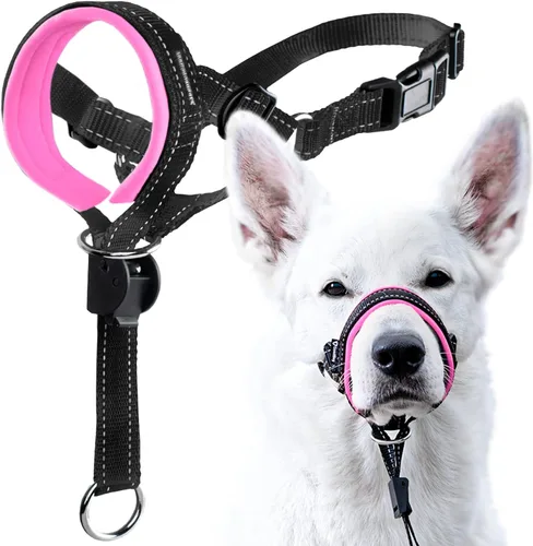 Vista 8 de GoodBoy Cabestro de cabeza de perro con correa de seguridad – Detiene los tirones pesados de la correa – Collar acolchado para perros pequeños