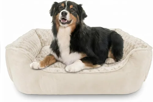 Vista 20 de JOEJOY - Cama rectangular para perros grandes, medianos y pequeños - Cama de sofá ortopédica lavable, suave y transpirable para cachorros