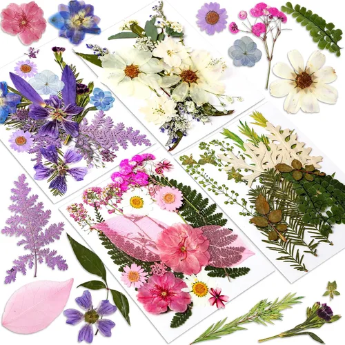 Vista 17 de Augshy Juego de flores secas prensadas reales con calcomanías transparentes de mariposa, calcomanías para álbumes de recortes, flores secas
