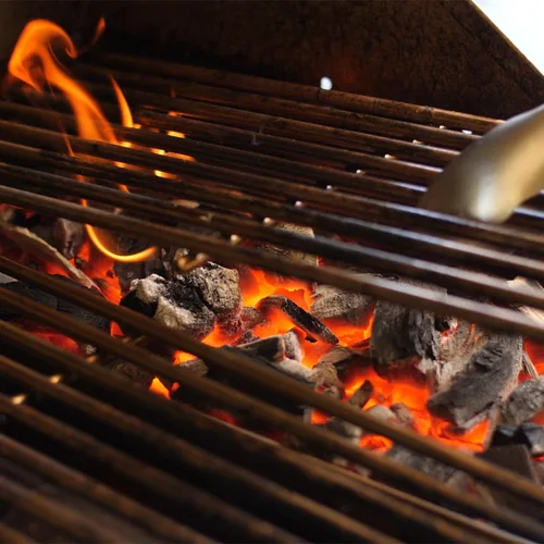 Vista 2 de Lion Premium Grills L109673 Bandeja de carbón