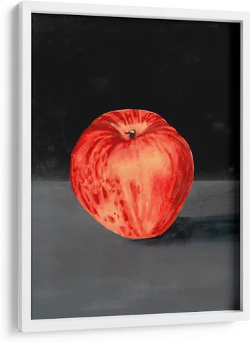 Vista 8 de Canvas Lab Fruit on Shelf I by Naomi McCavitt 11 x 15 in Fine Art Framed Print, Frame Color: Black, With Mat Botanical, Floral, Nature