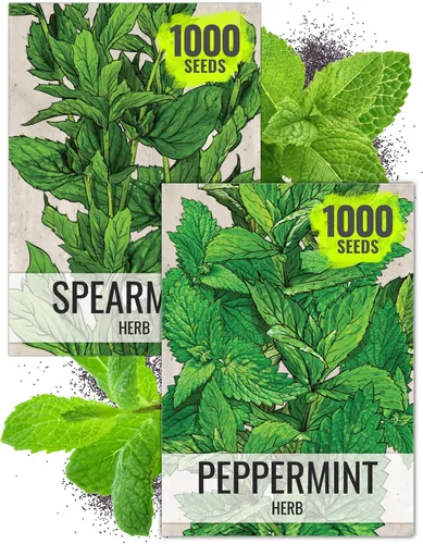 Vista 9 de Seed Needs Shiso - Semillas de hierbas variadas, paquete de 2 sin OMG y perilla de reliquia