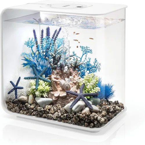 Vista 13 de biOrb Flow 15 - Acuario acrílico de 4 galones con luces LED blancas, moderno y compacto para exhibición en mesa o escritorio, negro Negro