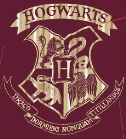 Vista 5 de Harry Potter Hermione Hogwarts - Pijama de camisón con escudo dorado 66 x
