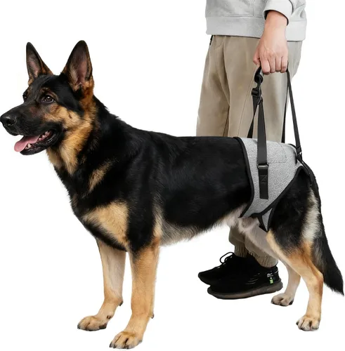 Vista 3 de Arnés de elevación para perros, arnés de soporte para patas traseras, arnés de soporte trasero ajustable, color gris, pequeño