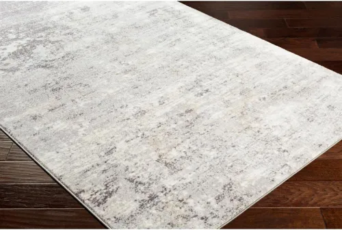 Vista 6 de Livabliss Choukri - Alfombra abstracta moderna de 5 pies 3 pulgadas x 7 pies 3 pulgadas, gris plateado Plata Gris