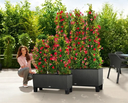 Vista 3 de Lechuza Pedestal para macetas Trio 30, L38.6 W12 H5.9 pulgadas