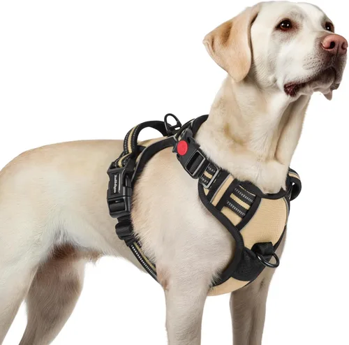 Vista 54 de Rabbitgoo - Arnés para perro de tamaño pequeño, actualizado, fácil de poner y quitar con 3 hebillas Sin tirones, sin estrangulamiento, caminar