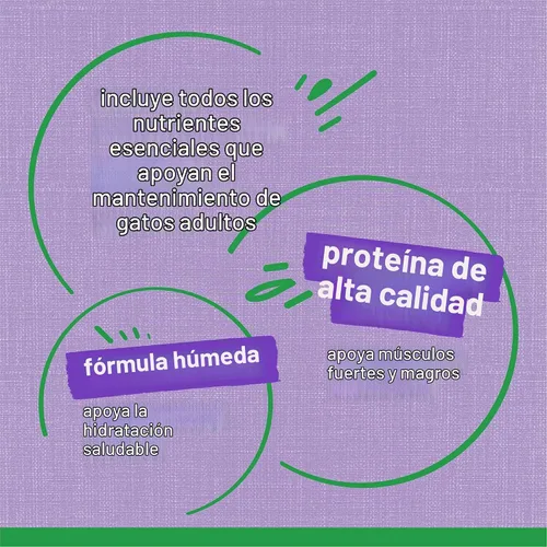 Vista 9 de Alimento húmedo para interior para gatos Purina Friskies, 24 unidades de 5.5 oz