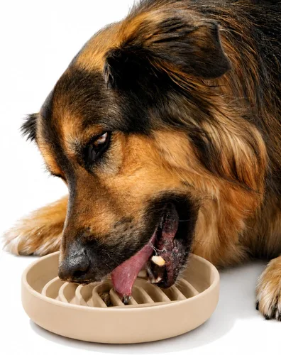Vista 15 de Should We Go? Alimentador lento para perros y gatos, el tazón Slowdown de silicona, solución para comer lentamente con diseño moderno de alfombrilla